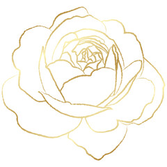 Golden vintage rose floral flower vector