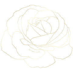 Golden vintage rose floral flower vector
