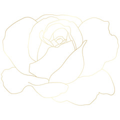 Golden vintage rose floral flower vector