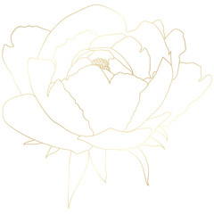 Golden vintage rose floral flower vector