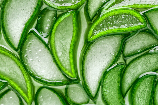 Aloe Vera closeup.aloe vera slice top view texture background. Aloevera plant, natural organic renewal cosmetics, alternative medicine.Aloe leaf slices with drops