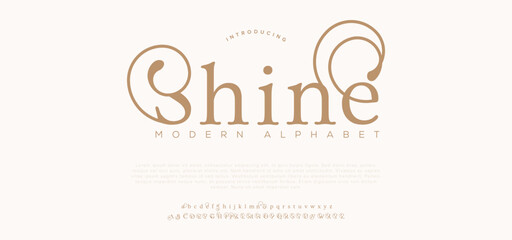 Shine Luxury letter font and tech typeface. Minimal Alphabet set. Creative fonts Logo design for Business.