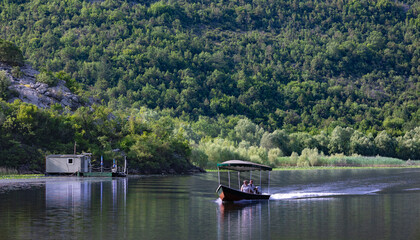 Fototapeta premium Rijeka Crnojevića, Montenegro - 06 24 2023: A boat with tourists cruising across the Rijeka Crnojevića river creating waves with lush green mountains in the background