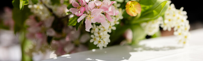 Banner 4?1 Pink and white apple blossoms close-up. Banner
