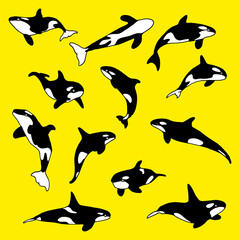 collection of illustrations of orcas and whales on yellow background