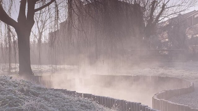 Fog, steam and sun on the water from natural pool with wooden bards. 4K