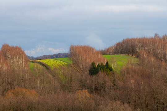 Pola/ pola uprawne | Fields/ farmlands