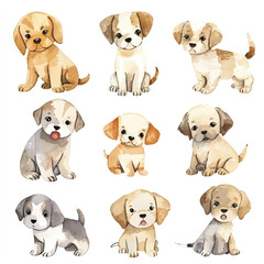 Vector hand drawn puppy collection