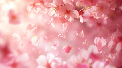 Fotobehang 桜の花びらが舞う © racoo