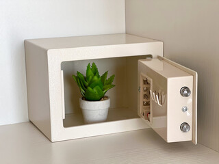 Succulent in safe. Environmental conservation. Keep nature safe