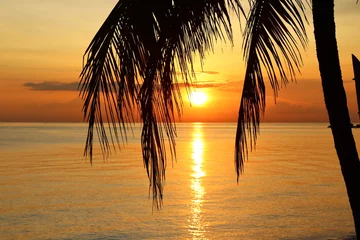 Foto op Canvas Bali Sonnenaufgang unter Palmen © Kerstin