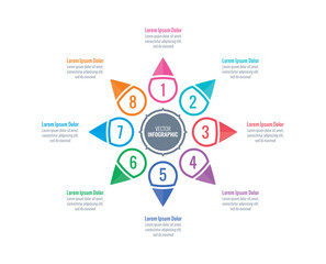flower infographic template. eight steps infographic design