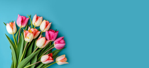 bouquet de tulipes coupées sur un fond bleu - obrazy, fototapety, plakaty