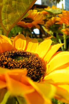 Close-up of artificial sunflower in the outdoors with sunlight. Artificial sunflower for decoration.