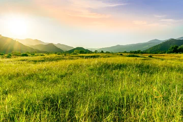 Poster Weide summer of spring landscape of green grass meadow with great beautiful mountains and awersome golden cloudy sunset