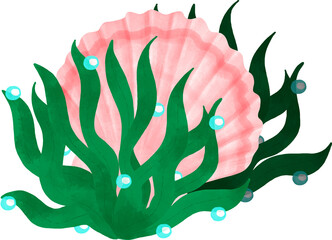 seaweeds kelp with pink seashell watercolor 