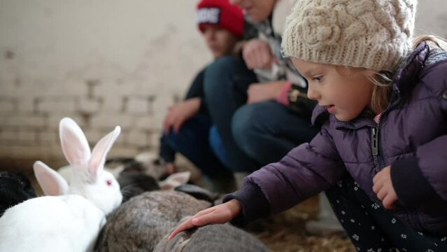 Charming little girl petting and adoring small bunch of bunnies, rabbits on a farm, delighted with joy and sparkling eyes