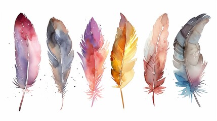 a row of colorful feathers on a white background