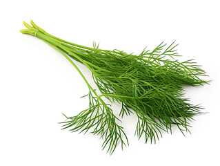 Dried dill leaves: Elevate your dishes with the aromatic allure of these flavorful herbs, a culinary delight on a canvas of white background