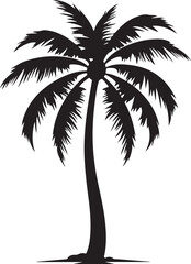 Tropical palm trees with leaves and black silhouettes isolated on a white background. Vector