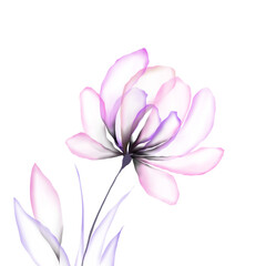 Watercolor flowers template frame vignette invitation illustration