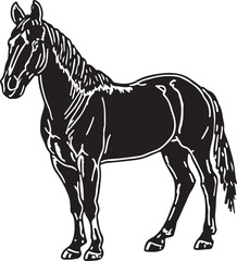 Horse Line art vector illustration black color