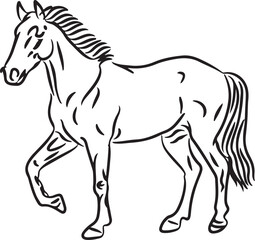 Horse Line art vector illustration black color