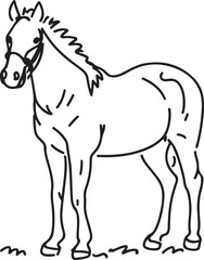 Horse Line art vector illustration black color