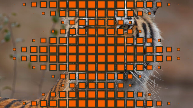 Grid Glitch | Color Control Panel