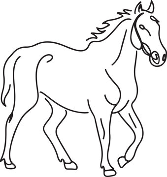 recommend clip art: Horse Line art vector illustration black color