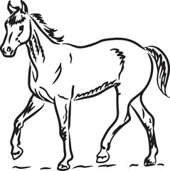 Horse Line art vector illustration black color