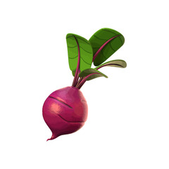 Beetroot illustration, vegetable 3d icon vector design