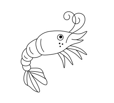 Vector isolated one single cute cartoon shrimp langust lobster side view colorless black and white contour line easy drawing	