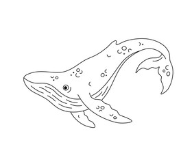 Vector isolated one single cute cartoon smiling happy whale side view colorless black and white contour line easy drawing  © MariMuz