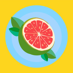 Grapefruit on a blue plate on a yellow background. Vector illustration.