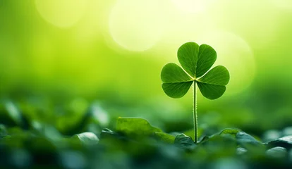 Foto op Canvas Green clover leaf on nature background. St.Patrick's Day. copy space © IULIIA