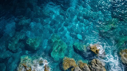 Teal waters dance over the reef, inviting us to explore the underwater wonders of nature's outdoor oasis