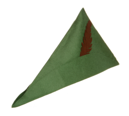 Green Robin Hood hat