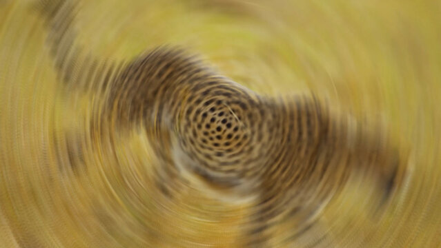 Axis Spin Transition Array | Drag and Drop Style