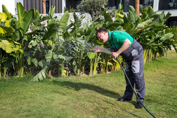 Male gardener drinks water from a hose to water the lawn.