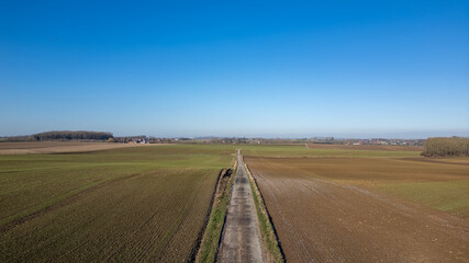 Fototapeta na wymiar This aerial photograph offers a serene view of a straight country road as it divides expansive farmland under a clear blue sky. The fields on either side display varied stages of agricultural