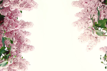 Bright and colorful flowers lilac