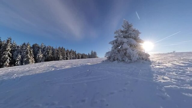 zauberhaft verschneite Winterlandschaft, Winterzauber, Tannen, Schnee, K&auml;lte, Natur, Idylle, Wald, Frost, Skipsiste,  Winterwunderland