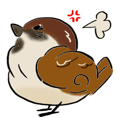 怒るすずめ
