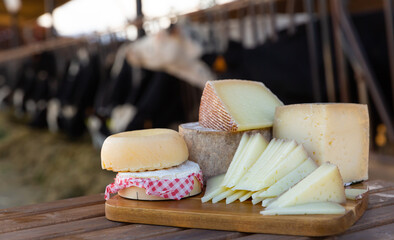 Closeup of various types of fresh natural cheeses on wooden board on blurred background of open cowshed. Healthy farm product © JackF