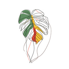 Tropical monstera palm leaf line art illustration