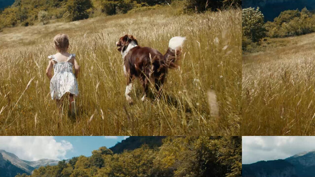 Simplified Slide Transition Experience | Drag and Drop Style