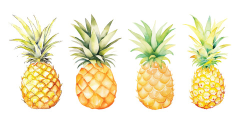 pineapple fruit watercolor vector illustration - obrazy, fototapety, plakaty