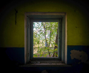 Fototapeta na wymiar view from the window of an abandoned abandoned house in the village of Ukraine