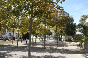 ある晴れた日のヨーロッパの公園